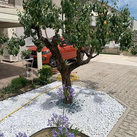 Frühstückspension La Casa Di Toni Pescara