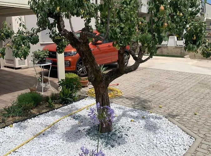 Oda ve Kahvaltı La Casa Di Toni Pescara